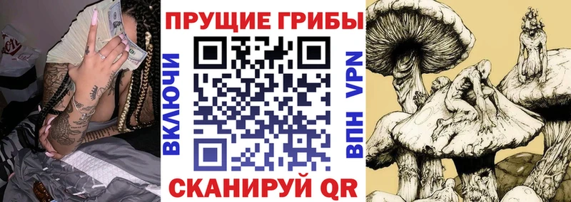 Галлюциногенные грибы Cubensis  Гаджиево 